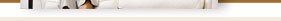 Letting Agent Header 27